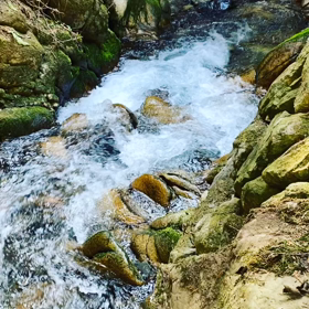 活動的に‼️の画像