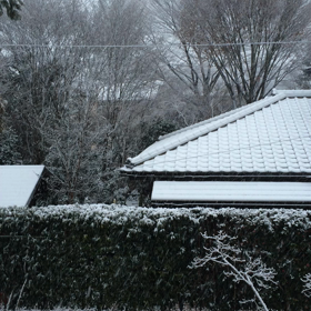 続・雪の画像