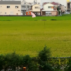 守護神の画像