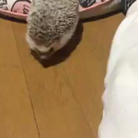 近況です❤️の画像