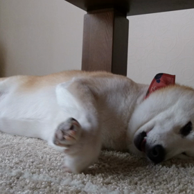 エア穴堀りの画像