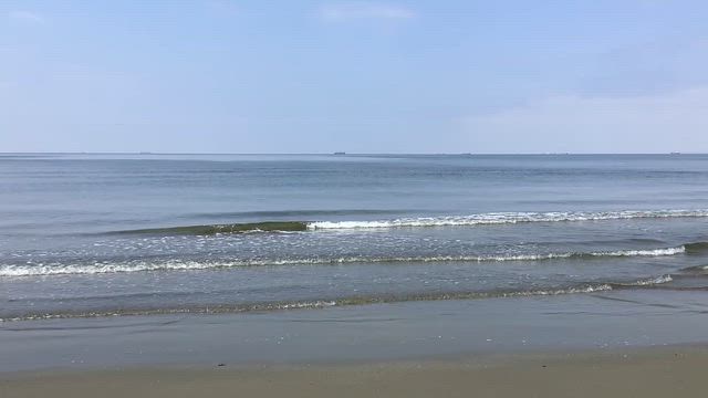 今日の１枚　６月11日 ワンドの２ ＆ 2026 春  千葉  ②  幕張の浜の記事動画