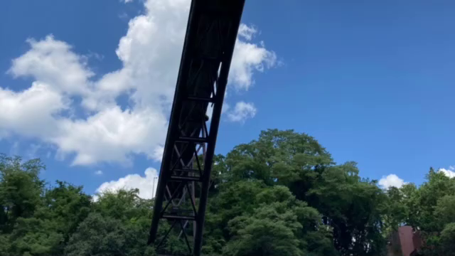 多摩川でのんびりの記事動画