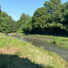 川へ行ってきたよの画像