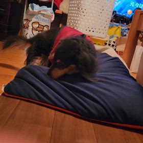 ヘルニア再びの画像
