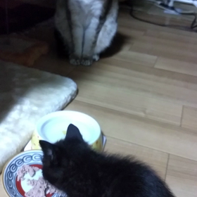 食べた～の画像