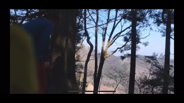 心を込めてやりたいものです～山頂で吹いてみましたの記事動画