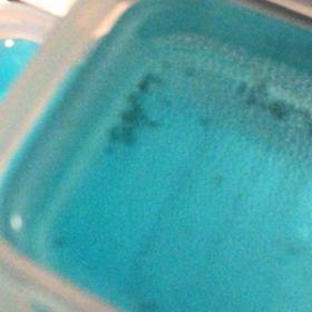 順調に孵化してますよーの画像