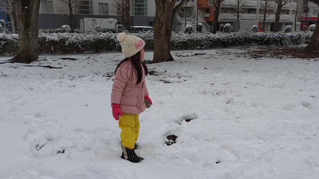 雪遊びの記事動画