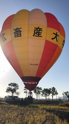 気球     空いっぱいの記事動画