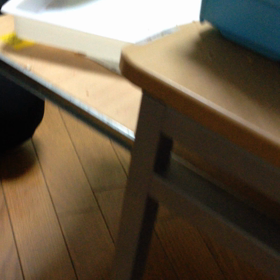 格闘系インコの画像