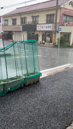 昨日のお話し　5月13日　旅行疲れかな？の記事動画