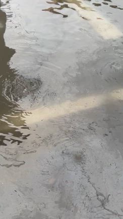 昨日のお話し　9月8日　今度は名古屋かよ〜☔️☔️☔️の記事動画