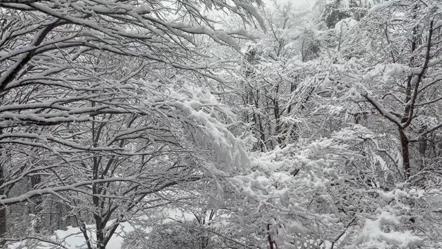 1日遅れの更新の記事動画