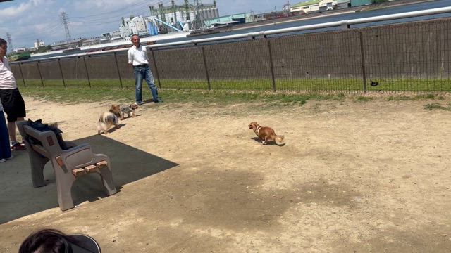 GWですねの記事動画