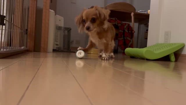 ボトックス入院中！の記事動画