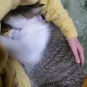 ❁✿✾ニヤニヤ✾✿❁︎の画像