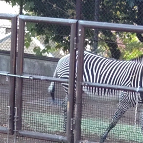 その⑤の画像