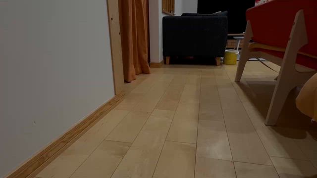 今日から淡路島へ家族旅行♬の記事動画