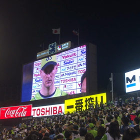 横綱の画像