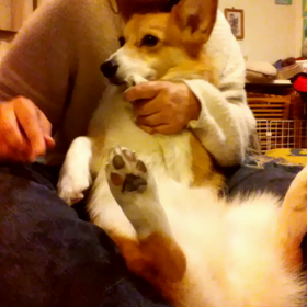 ネイルサロンの画像