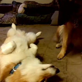 本日の営業は終了致しましたの画像