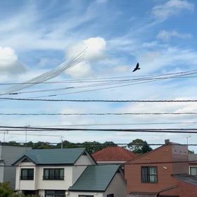 青い衝撃の画像