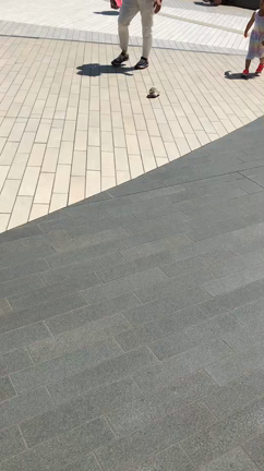 散歩するハリネズミの記事動画