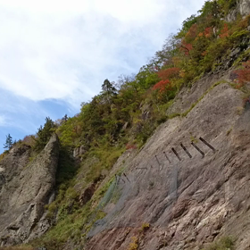 紅葉旅の画像