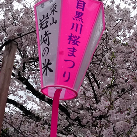絶景♥♥♥の画像