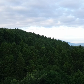 gm!の画像