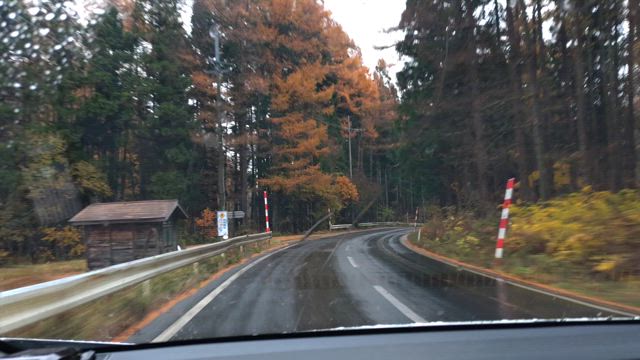 神社と猿と初雪など。の記事動画