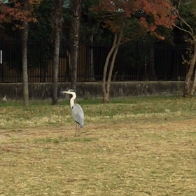タイトルが思いつかないの画像