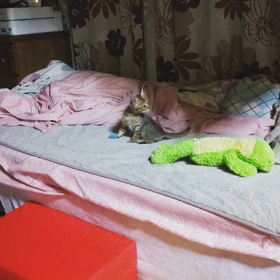 朝の５時やぞ。の画像