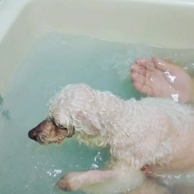 １６才の泳ぎ(笑)の画像