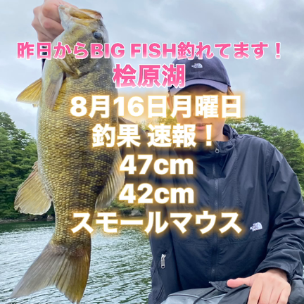 桧原湖南部エリア雨が上がってからBIG FISH連発の記事動画