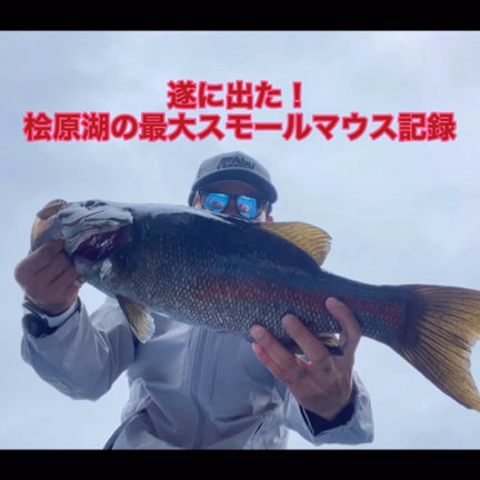 桧原湖 7月9日 金曜日 皆さんボトムで40UPボコボコ釣れるの記事動画