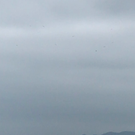中央埠頭にての画像