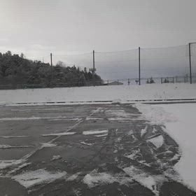 2026/01/22の画像