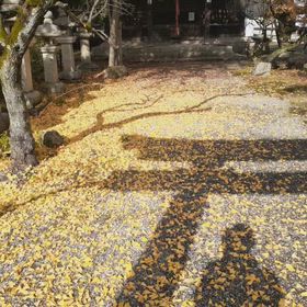 2025/11/27の画像