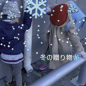 2023/11/15の画像