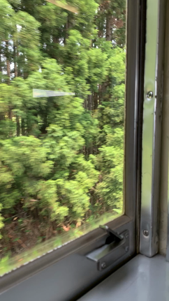 目が回りそう。。の記事動画
