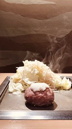 レッスン325,326　紅葉の記事動画