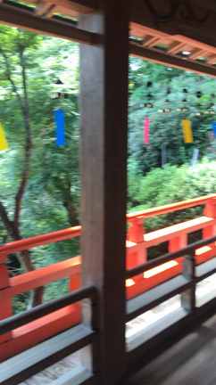 蝶々と風鈴の歓迎⭐︎シャクナゲ寺への記事動画