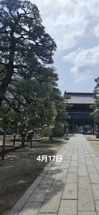 海が好きの記事動画