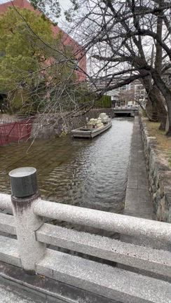 そうだ、京都行こうの記事動画