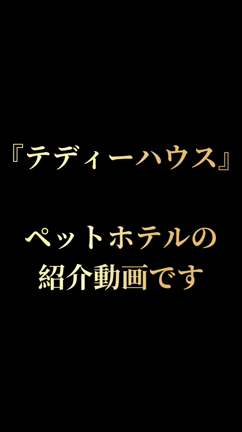 ペットホテル紹介動画の記事動画