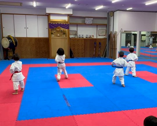 太西会形準強化クラスの記事動画