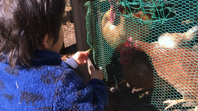 春を感じる暖かさの記事動画