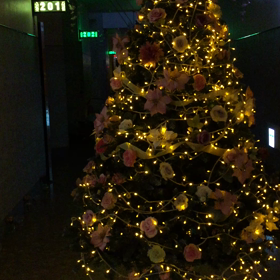 気分は、クリスマスだんじーの画像